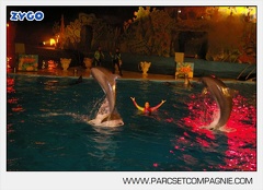Marineland - Dauphins - Spectacle nocturne - 5598