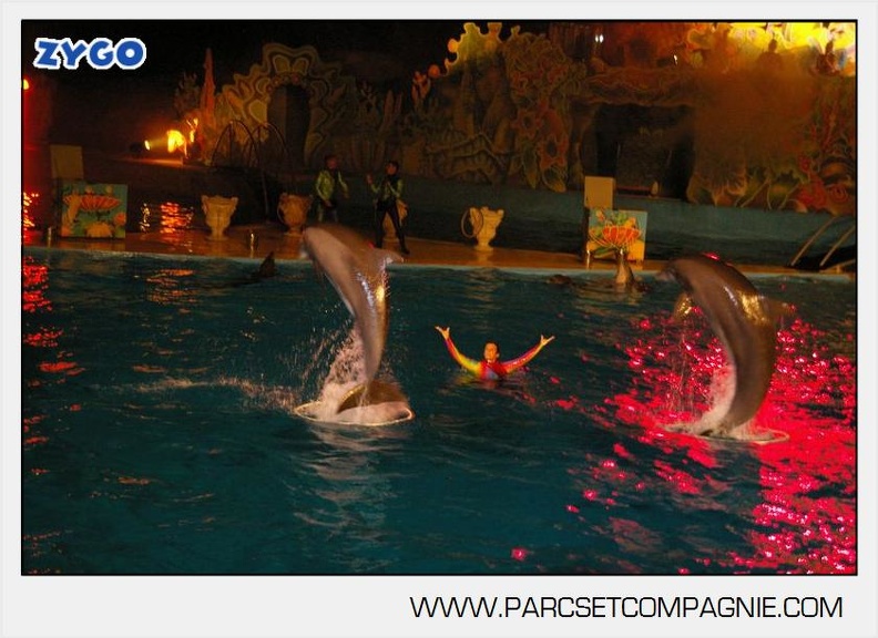 Marineland - Dauphins - Spectacle nocturne - 5598
