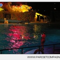Marineland - Dauphins - Spectacle nocturne - 5599