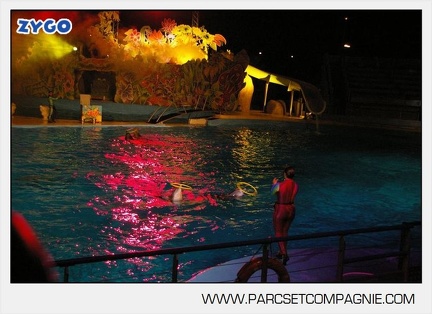 Marineland - Dauphins - Spectacle nocturne - 5599
