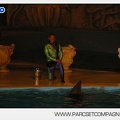 Marineland - Dauphins - Spectacle nocturne - 5601