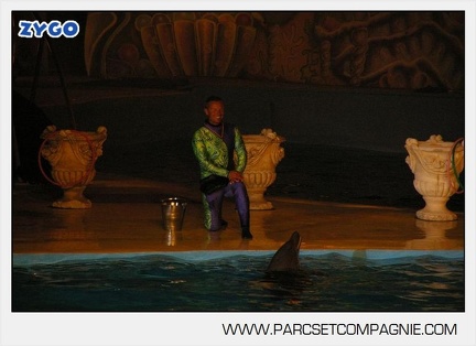 Marineland - Dauphins - Spectacle nocturne - 5601