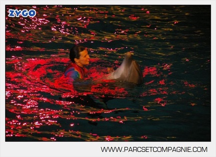 Marineland - Dauphins - Spectacle nocturne - 5607