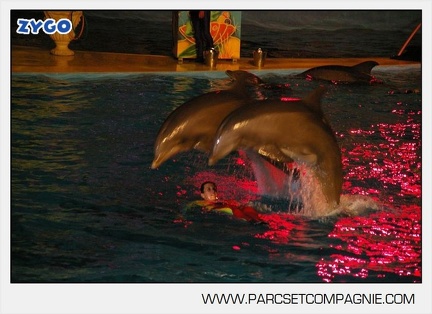 Marineland - Dauphins - Spectacle nocturne - 5611