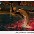 Marineland - Dauphins - Spectacle nocturne - 5612