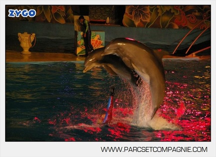 Marineland - Dauphins - Spectacle nocturne - 5612