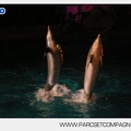 Marineland - Dauphins - Spectacle nocturne - 5614