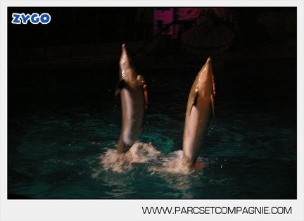 Marineland - Dauphins - Spectacle nocturne - 5614