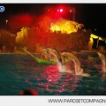 Marineland - Dauphins - Spectacle nocturne - 5621