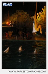 Marineland - Dauphins - Spectacle nocturne - 5628