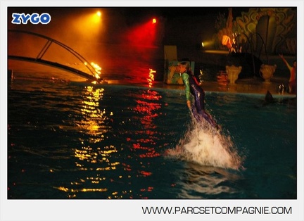 Marineland - Dauphins - Spectacle nocturne - 5630