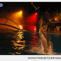 Marineland - Dauphins - Spectacle nocturne - 5631