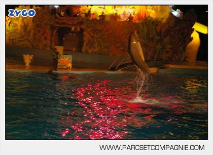Marineland - Dauphins - Spectacle nocturne - 5632