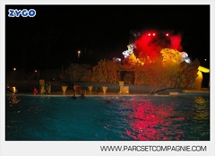 Marineland - Dauphins - Spectacle nocturne - 5633