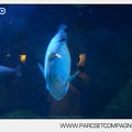 Marineland - Aquariums - 5653