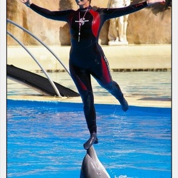 Marineland - Dauphins - Spectacle - 14h30