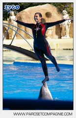 Marineland - Dauphins - Spectacle - 14h30 - 5872