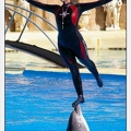Marineland - Dauphins - Spectacle - 14h30 - 5872