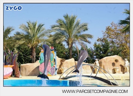 Marineland - Dauphins - Spectacle - 14h30 - 5873