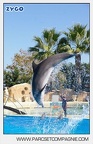 Marineland - Dauphins - Spectacle - 14h30 - 5874