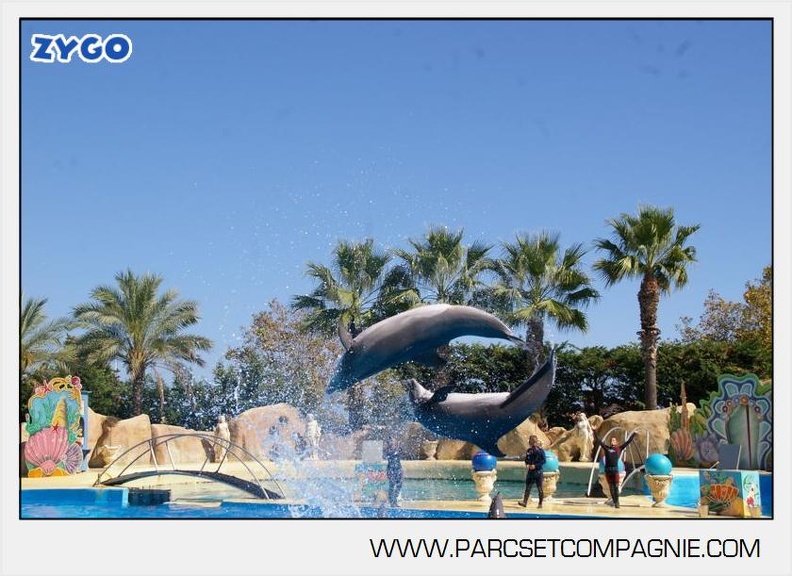 Marineland - Dauphins - Spectacle - 14h30 - 5875