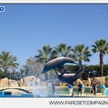 Marineland - Dauphins - Spectacle - 14h30 - 5875