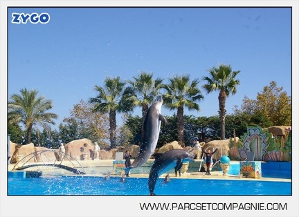 Marineland - Dauphins - Spectacle - 14h30 - 5876