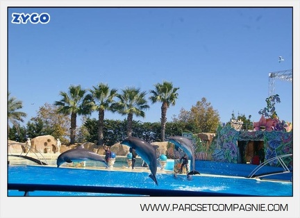 Marineland - Dauphins - Spectacle - 14h30 - 5877