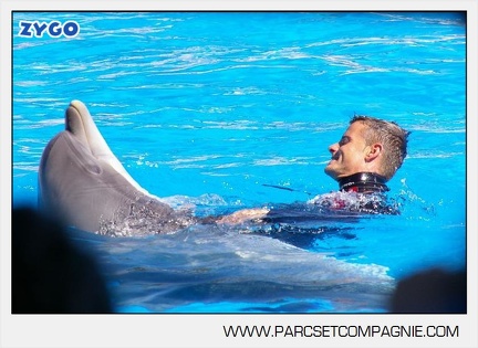 Marineland - Dauphins - Spectacle - 14h30 - 5878