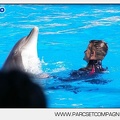 Marineland - Dauphins - Spectacle - 14h30 - 5879