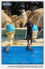 Marineland - Dauphins - Spectacle - 14h30 - 5880