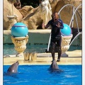 Marineland - Dauphins - Spectacle - 14h30 - 5880
