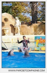 Marineland - Dauphins - Spectacle - 14h30 - 5881