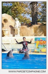 Marineland - Dauphins - Spectacle - 14h30 - 5882