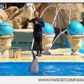Marineland - Dauphins - Spectacle - 14h30 - 5883