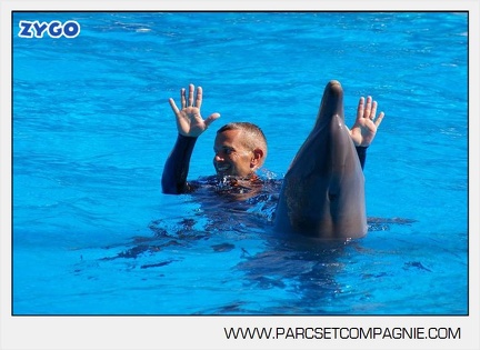 Marineland - Dauphins - Spectacle - 14h30 - 5885