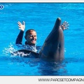 Marineland - Dauphins - Spectacle - 14h30 - 5886