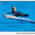 Marineland - Dauphins - Spectacle - 14h30 - 5887