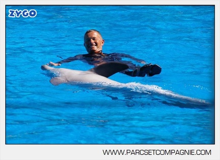 Marineland - Dauphins - Spectacle - 14h30 - 5887