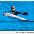 Marineland - Dauphins - Spectacle - 14h30 - 5888