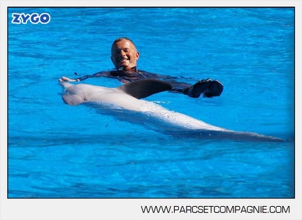 Marineland - Dauphins - Spectacle - 14h30 - 5888