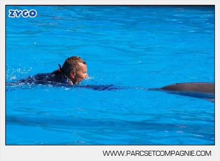 Marineland - Dauphins - Spectacle - 14h30 - 5889