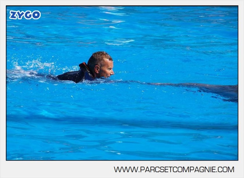 Marineland - Dauphins - Spectacle - 14h30 - 5890
