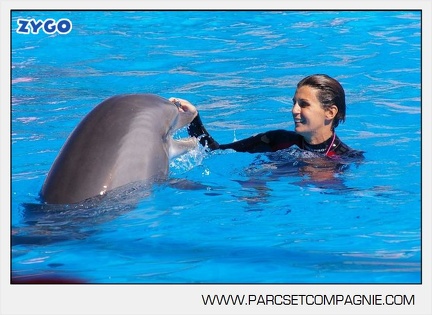 Marineland - Dauphins - Spectacle - 14h30 - 5891