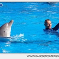 Marineland - Dauphins - Spectacle - 14h30 - 5892