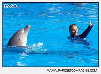 Marineland - Dauphins - Spectacle - 14h30 - 5892
