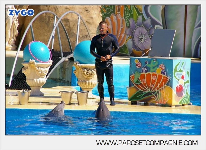 Marineland - Dauphins - Spectacle - 14h30 - 5893