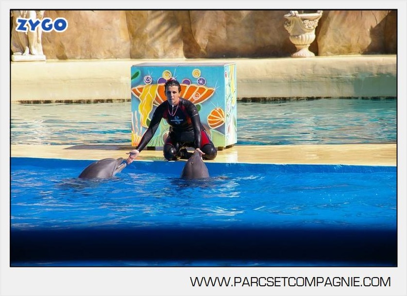 Marineland - Dauphins - Spectacle - 14h30 - 5894