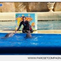 Marineland - Dauphins - Spectacle - 14h30 - 5894