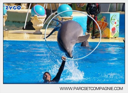 Marineland - Dauphins - Spectacle - 14h30 - 5895